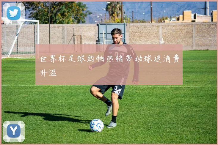 世界杯足球购物热销带动球迷消费升温