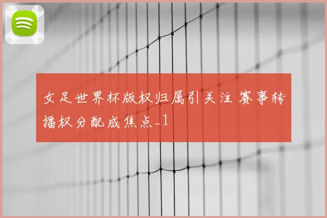 女足世界杯版权归属引关注 赛事转播权分配成焦点_1