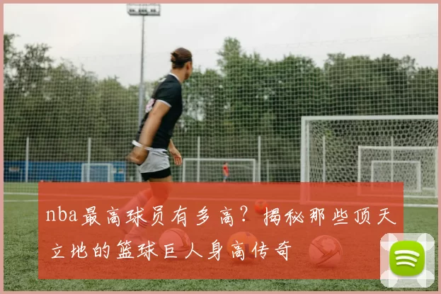 nba最高球员有多高？揭秘那些顶天立地的篮球巨人身高传奇