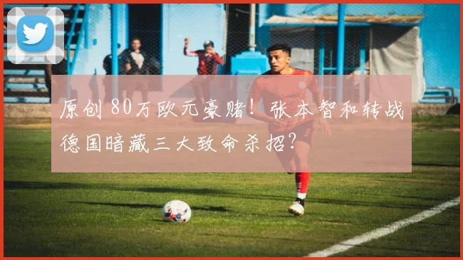 原创 80万欧元豪赌！张本智和转战德国暗藏三大致命杀招？